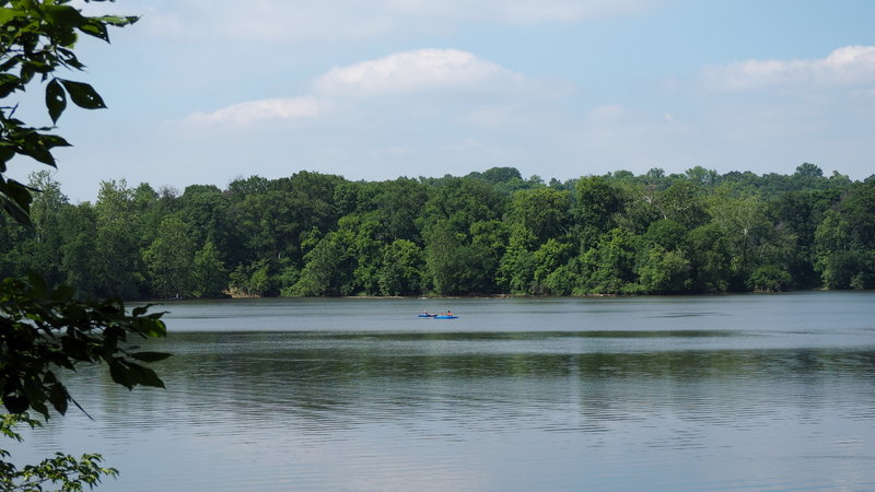 Looking out on Simpson Lake from the Blue Heron Trail.