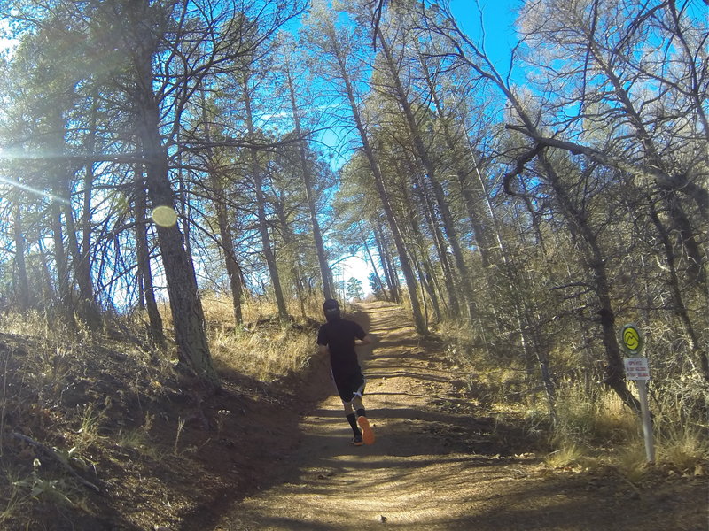 On the way up during the NORAD Trail Race!