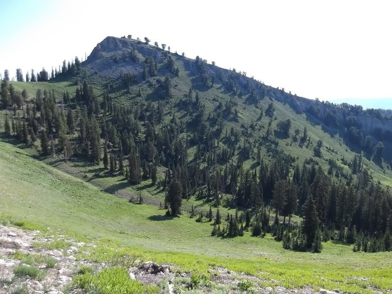 A view of the back side of Mount Elmer (the less flattering side) from the Naomi Peak NRT