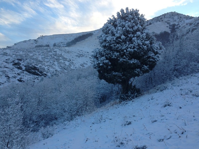 A view back into the woods from whence the trail comes, as well as up to the surrounding ridges in the area.