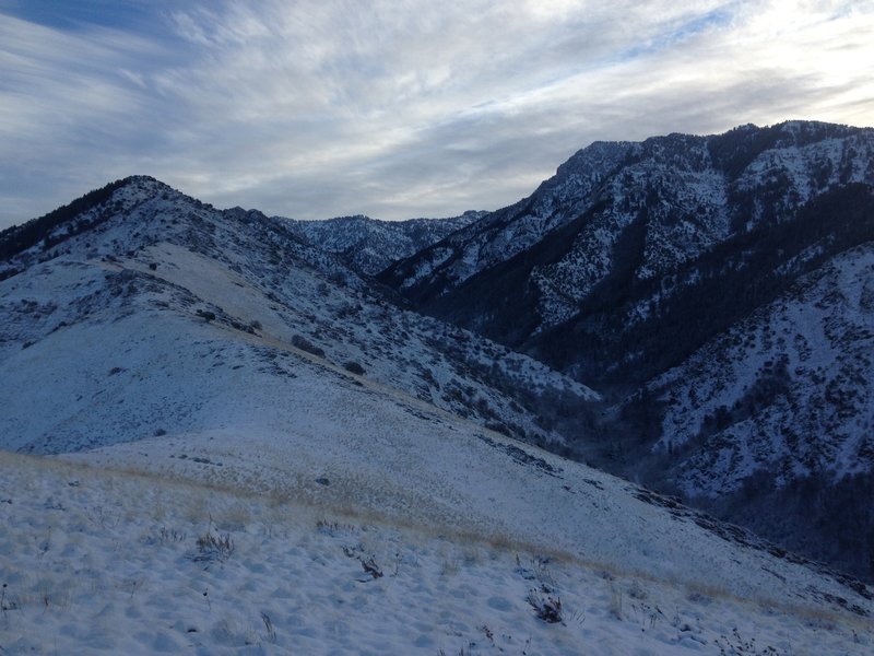 A view up Birch Canyon from a knoll above the Smithfield-Birch Canyon Connector Trail.