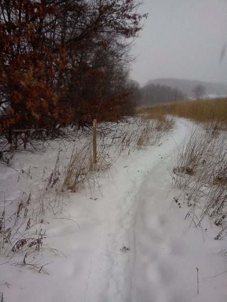 Old cell phone image of trail in winter (looking north).