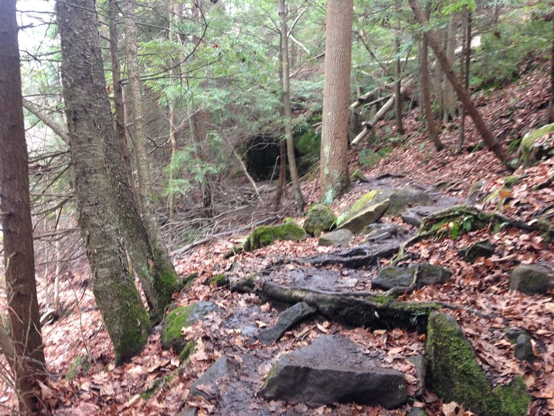 This is along Kildoo Trail. More of the same slick, wet boulders.