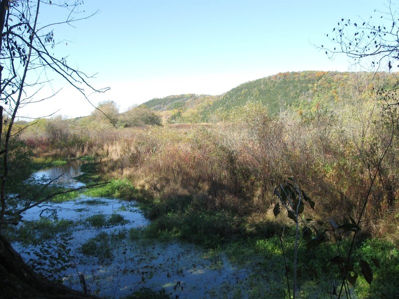 Lodi Marsh State Natural Area