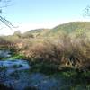 Lodi Marsh State Natural Area