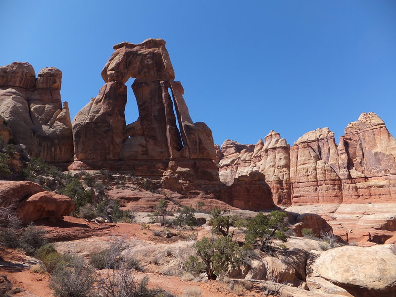 Druid Arch, as seen from the trail of the same name.