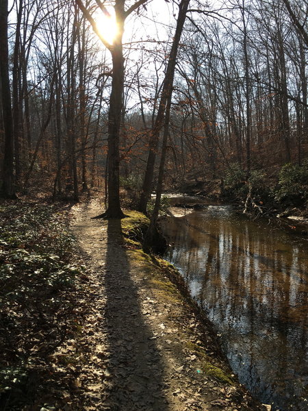 The South Valley trail has many peaceful areas along Quantico Creek!