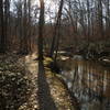 The South Valley trail has many peaceful areas along Quantico Creek!