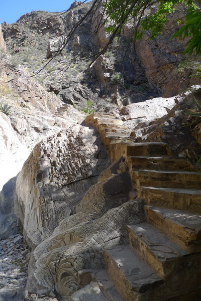 Unique trail leading up to the Window.