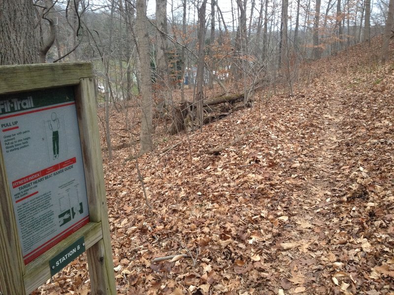 A fitness station on the Tiger Trail.