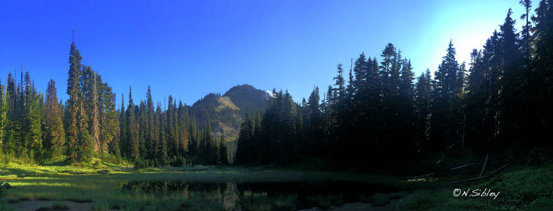 The Wonderland Trail near Pearl Creek.