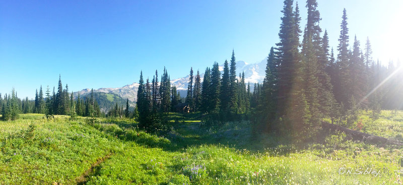 The Wonderland Trail near Cooper Mountain.