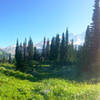 The Wonderland Trail near Cooper Mountain.