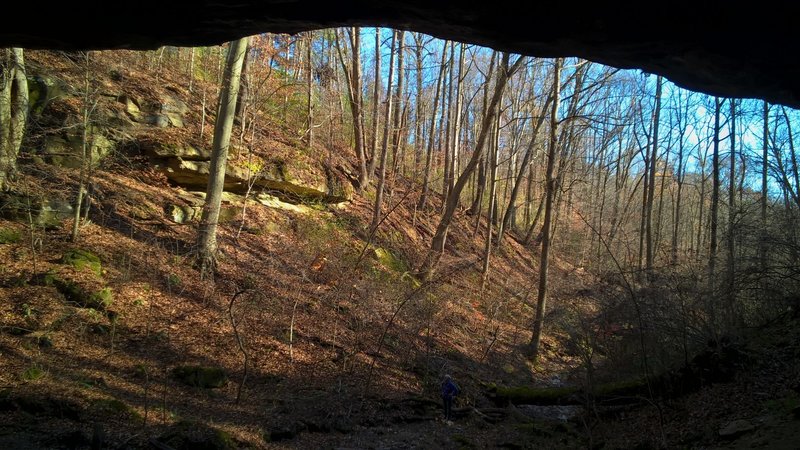 A view from inside the cave on the WCCC Short Loop, looking out over the creek-bed and valley.