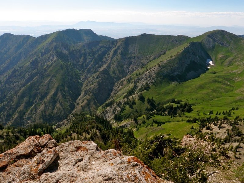 A view from the top of Mount Naomi down into the northern end of Smithfield Canyon, and the basin just below Cherry Peak (not pictured)