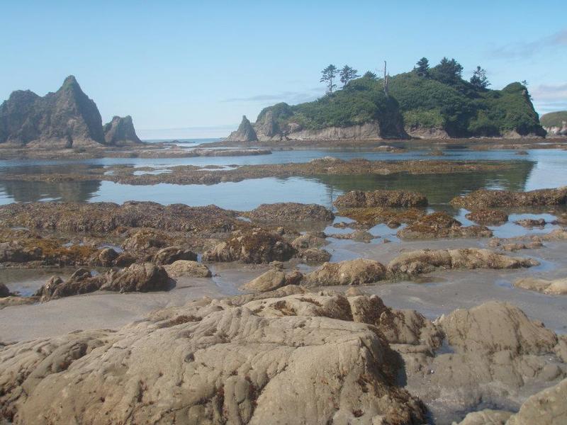 Tidepools at Toleak Point as accessed from the trail of that same name.