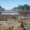 Tidepools at Toleak Point as accessed from the trail of that same name.