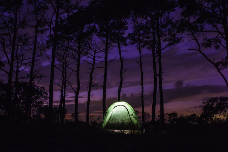 Opting outside on Assateague Island!