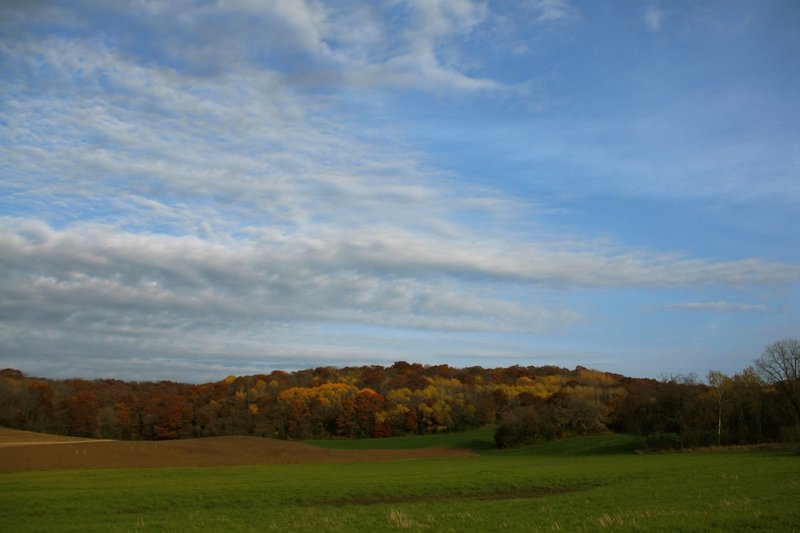 Looking east toward the other end of the Springfield Hill loop.