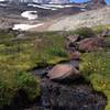 The end of the vegetation on the Skyline Trail.