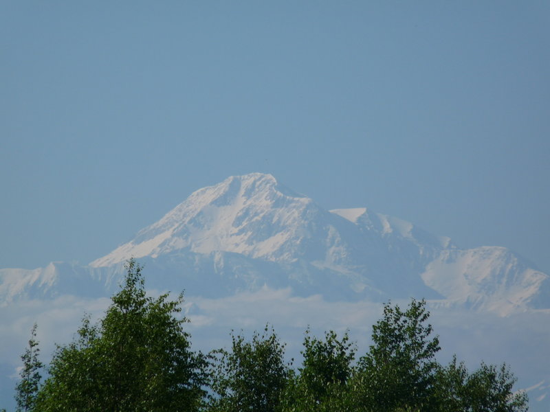 Looking out at Mt. Denali