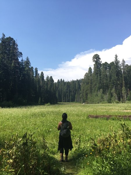 Lots of great spots to stop while on this trail to take amazing photos of the Crescent Meadow!