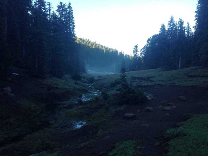 A view of the lush meadow and fog rising around Further Water, a small creek in the Pine Valley Mountains.