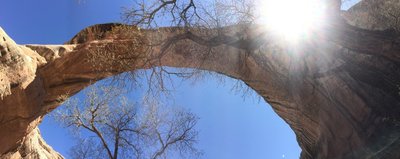 Sipapu Bridge towers overhead at Natural Bridges National Monument