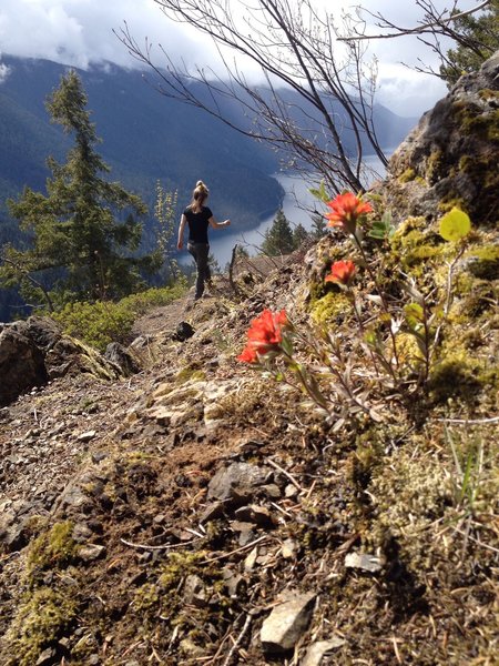 Descending Mt. Stormking with Lake Crescent in the background.