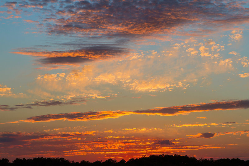 Beware: Bugs are still very active on Assateague Island until the second frost of the season!