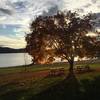 View of Shawnee Lake.