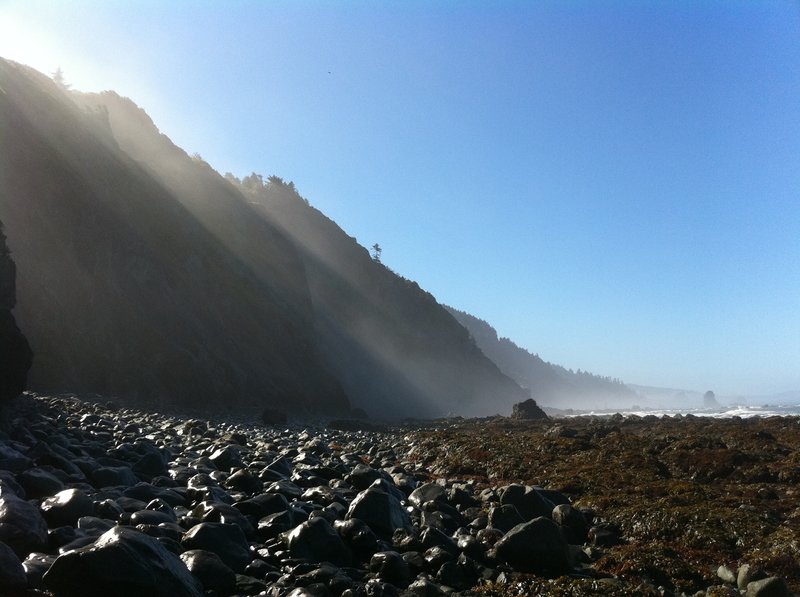 Fog over Damnation Cove.