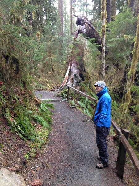 Lots of moss on this trail!