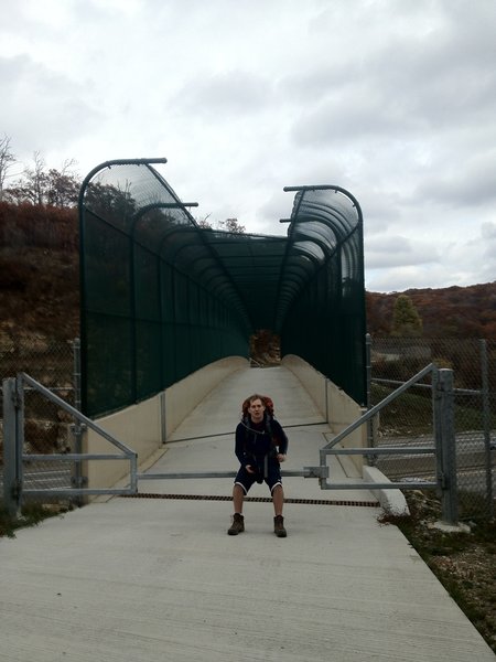 Taking a break before crossing over the PA turnpike.