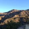 Looking up the side of Brown Mountain.