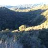 Millard Canyon from Brown Mountain Road.