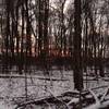 A grainy photo of the sun rising over Lake Arthur, looking southeast through the trees.