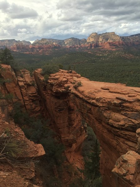 View from the end of the trail. From here you may choose to walk onto the bridge or for those with a fear of heights can stay right here and enjoy the view as well.