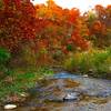 The colors of fall in the Ledges State Park are absolutely gorgeous. Definitely a great fall hike.