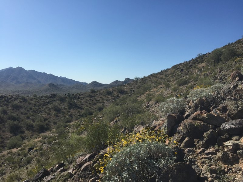 Hiking up the Estrella Mountains.