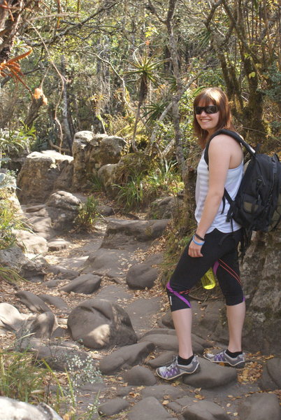 The Rainforest trail that leads up to God's Window