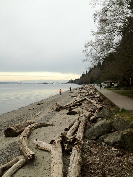 Looking down Owen Beach.