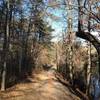 Nice wide trail around Shawnee Lake.