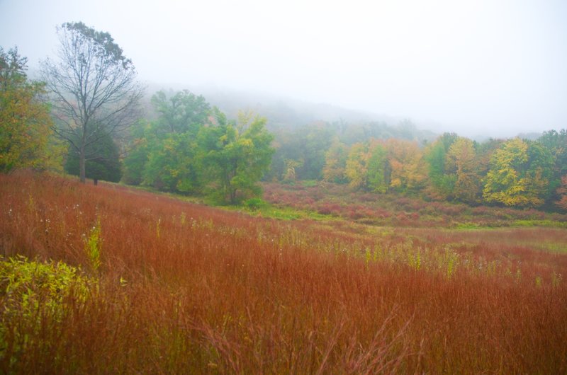 View of the Michigan Road campground meadow and hills.