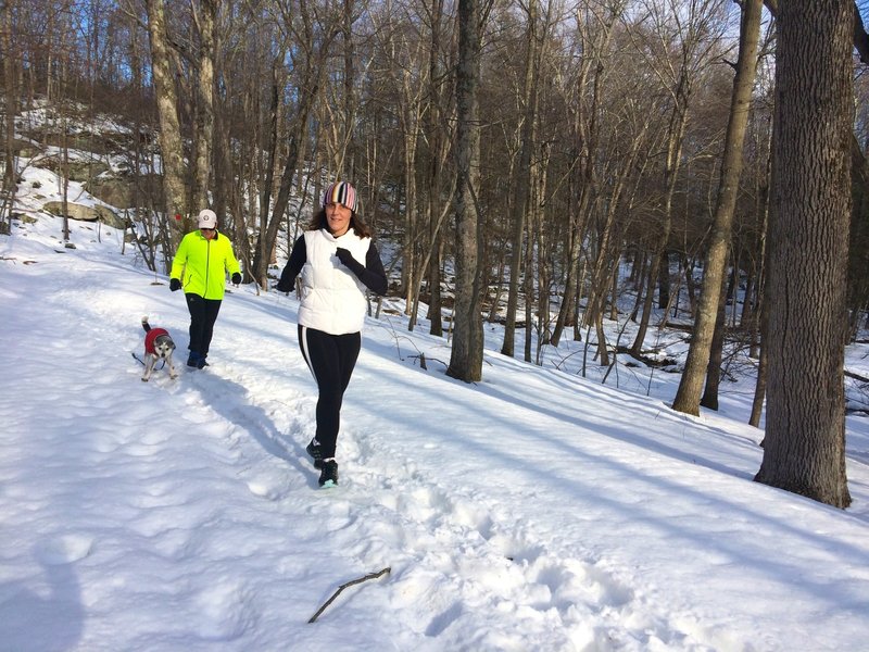 Snowy run on the Red Trail.