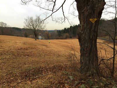 Looking west out on the Pell Hill meadow.