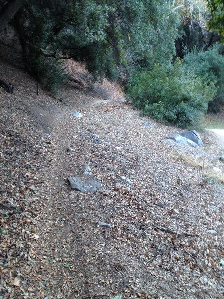 Lower Millard Canyon Trail