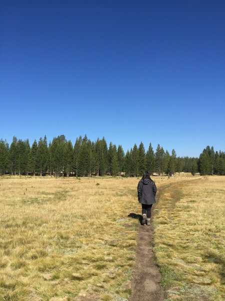 Heading into Toulumne meadow!