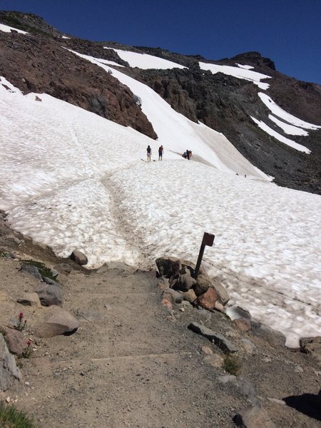 Entering the ice field on Lower Skyline.