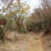 Lind Point Trailhead.